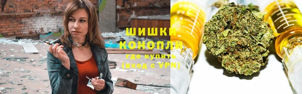 винт Нягань