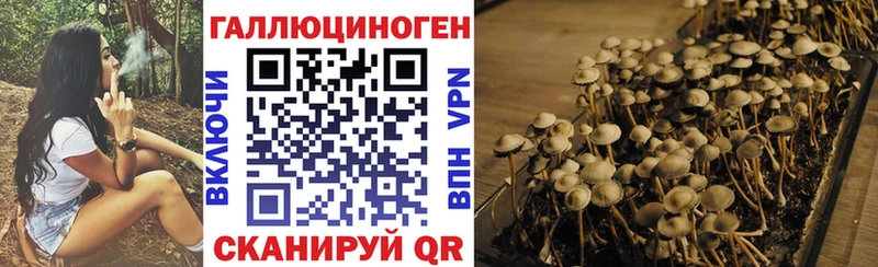 Купить закладки  Рославль  Псилоцибиновые грибы мухоморы 